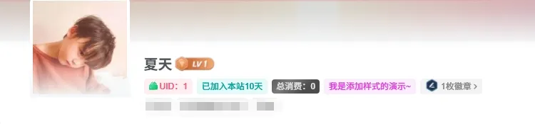 子比主题美化教程：自定义用户主页展示UID/加入天数/消费金额等信息-夏天屋